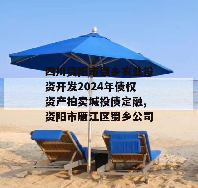 四川资阳市蜀乡农业投资开发2024年债权资产拍卖城投债定融,资阳市雁江区蜀乡公司