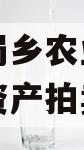 资阳市蜀乡农业投资开发债权资产拍卖