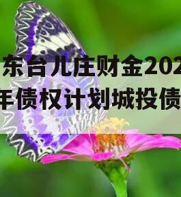 山东台儿庄财金2024年债权计划城投债定融