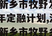 河南新乡市牧野发展2023年定融计划,河南省新乡市牧野乡