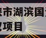 三门峡市湖滨国资资产收益权项目