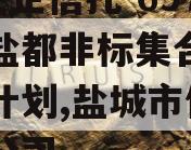 A级央企信托-697盐城盐都非标集合资金信托计划,盐城市信托投资公司