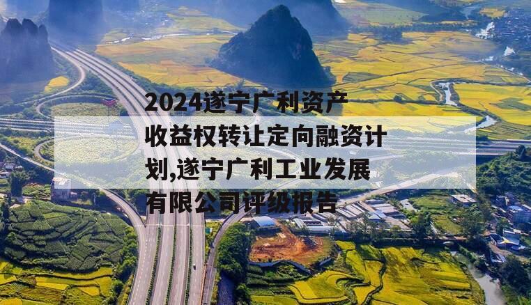 2024遂宁广利资产收益权转让定向融资计划,遂宁广利工业发展有限公司评级报告