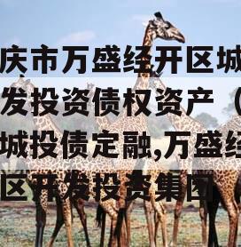 重庆市万盛经开区城市开发投资债权资产（二）城投债定融,万盛经开区开发投资集团