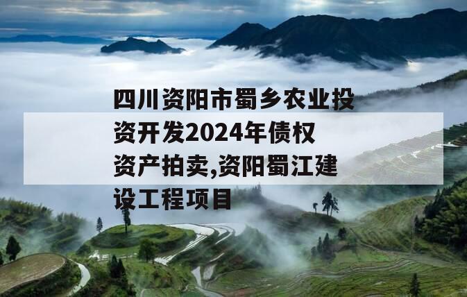 四川资阳市蜀乡农业投资开发2024年债权资产拍卖,资阳蜀江建设工程项目