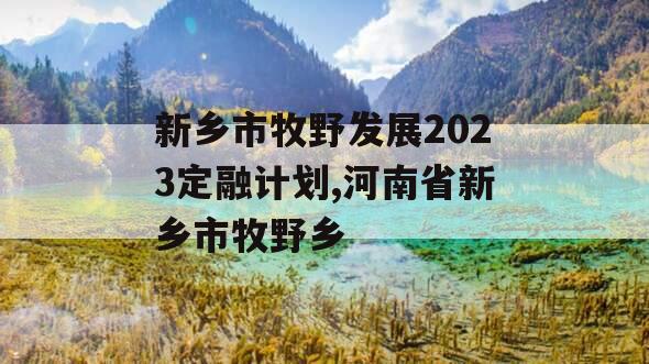 新乡市牧野发展2023定融计划,河南省新乡市牧野乡