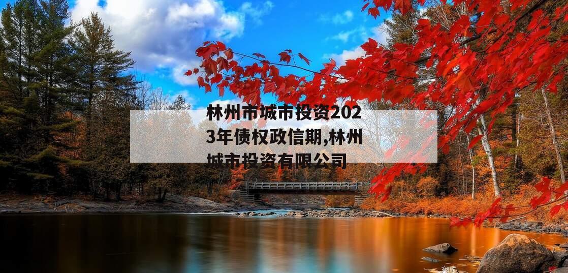 林州市城市投资2023年债权政信期,林州城市投资有限公司