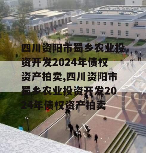 四川资阳市蜀乡农业投资开发2024年债权资产拍卖,四川资阳市蜀乡农业投资开发2024年债权资产拍卖