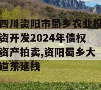 四川资阳市蜀乡农业投资开发2024年债权资产拍卖,资阳蜀乡大道东延线