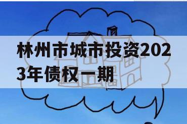 林州市城市投资2023年债权一期