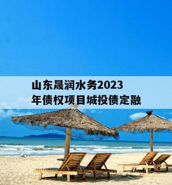 山东晟润水务2023年债权项目城投债定融