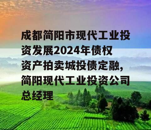 成都简阳市现代工业投资发展2024年债权资产拍卖城投债定融,简阳现代工业投资公司总经理