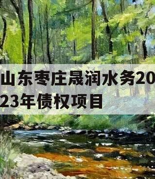 山东枣庄晟润水务2023年债权项目