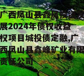 广西凤山县鑫凤投资发展2024年债权收益权项目城投债定融,广西凤山县鑫峰矿业有限责任公司