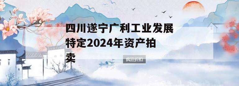 四川遂宁广利工业发展特定2024年资产拍卖