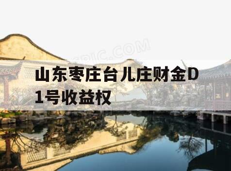 山东枣庄台儿庄财金D1号收益权