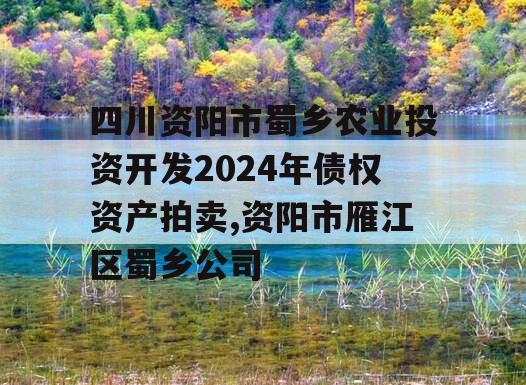 四川资阳市蜀乡农业投资开发2024年债权资产拍卖,资阳市雁江区蜀乡公司