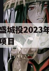 万盛城投2023年债权项目