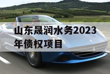 山东晟润水务2023年债权项目