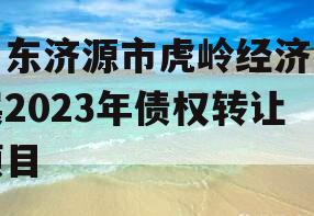 山东济源市虎岭经济发展2023年债权转让项目