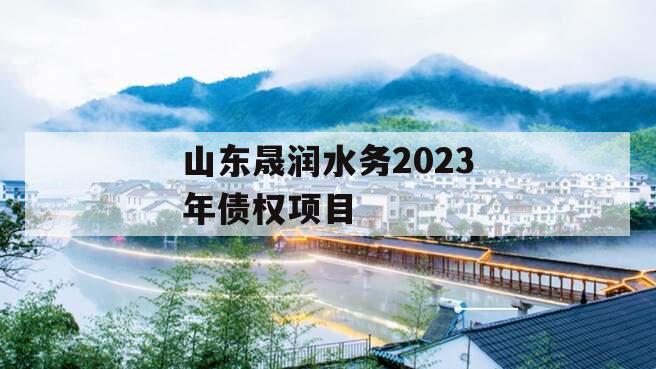 山东晟润水务2023年债权项目