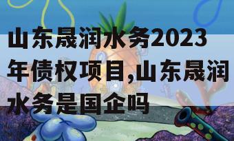 山东晟润水务2023年债权项目,山东晟润水务是国企吗