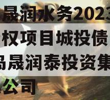 山东晟润水务2023年债权项目城投债定融,青岛晟润泰投资集团有限公司