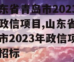 山东省青岛市2023年政信项目,山东省青岛市2023年政信项目招标