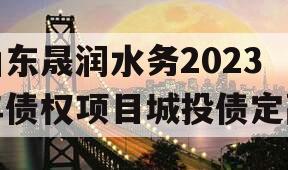 山东晟润水务2023年债权项目城投债定融