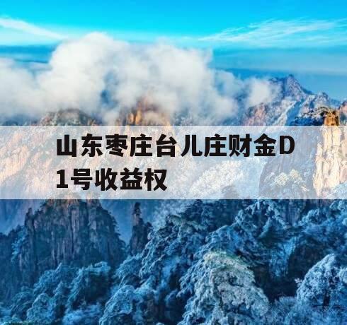 山东枣庄台儿庄财金D1号收益权