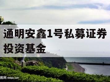 通明安鑫1号私募证券投资基金