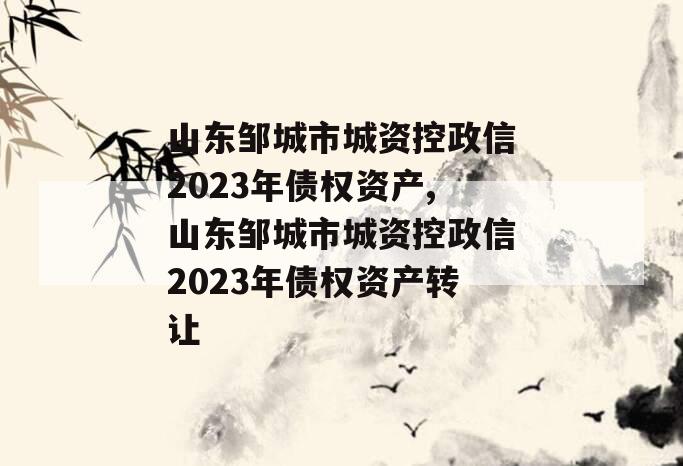 山东邹城市城资控政信2023年债权资产,山东邹城市城资控政信2023年债权资产转让