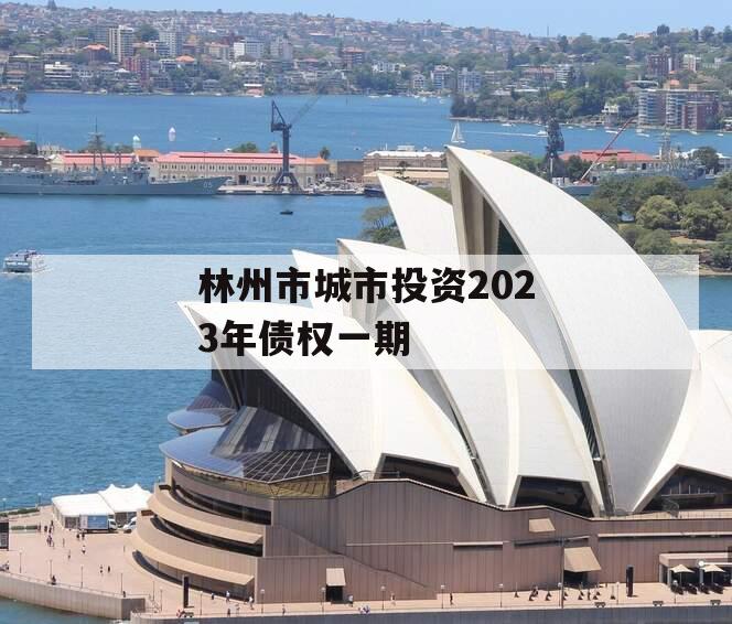 林州市城市投资2023年债权一期