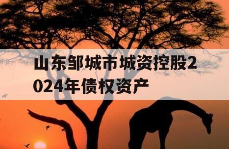 山东邹城市城资控股2024年债权资产