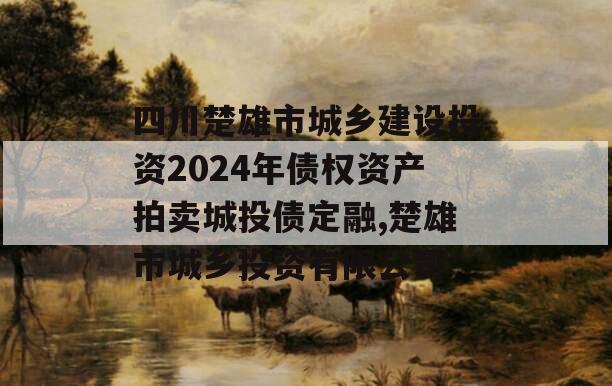 四川楚雄市城乡建设投资2024年债权资产拍卖城投债定融,楚雄市城乡投资有限公司