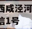 西安西咸泾河2024年政信1号