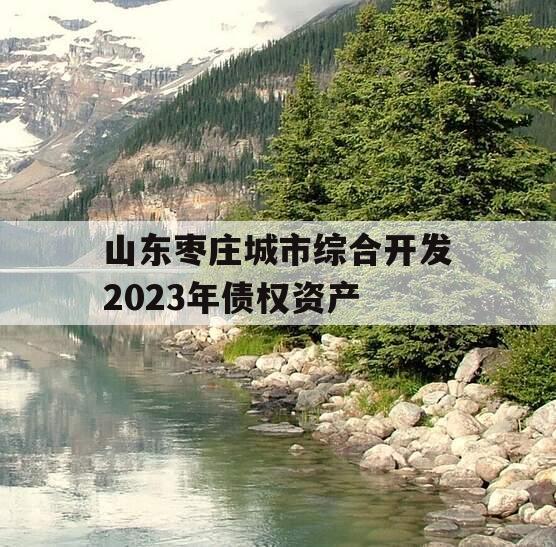 山东枣庄城市综合开发2023年债权资产