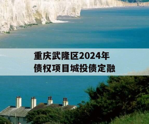 重庆武隆区2024年债权项目城投债定融