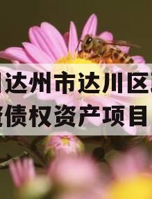 四川达州市达川区政府投资债权资产项目