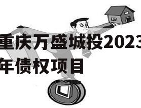 重庆万盛城投2023年债权项目