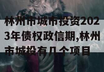 林州市城市投资2023年债权政信期,林州市城投有几个项目