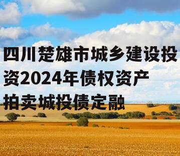 四川楚雄市城乡建设投资2024年债权资产拍卖城投债定融