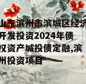 山东滨州市滨城区经济开发投资2024年债权资产城投债定融,滨州投资项目