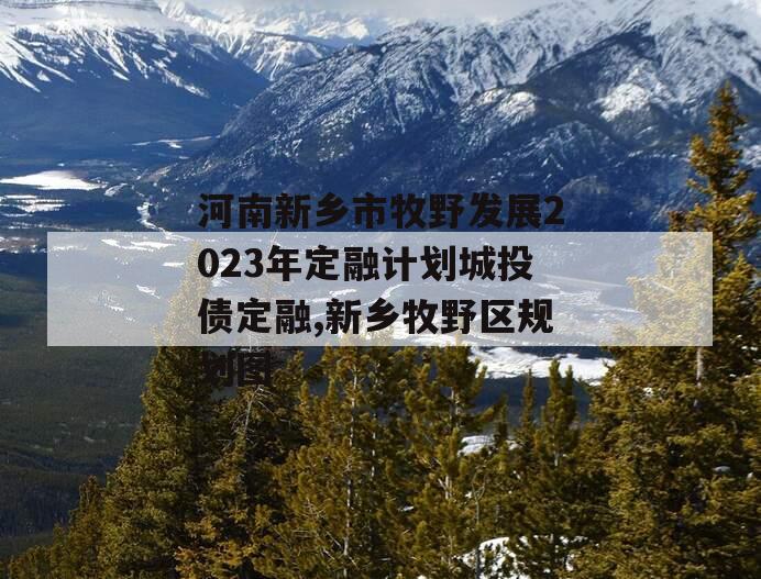 河南新乡市牧野发展2023年定融计划城投债定融,新乡牧野区规划图