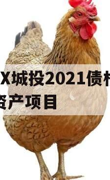 JX城投2021债权资产项目