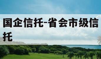 国企信托-省会市级信托