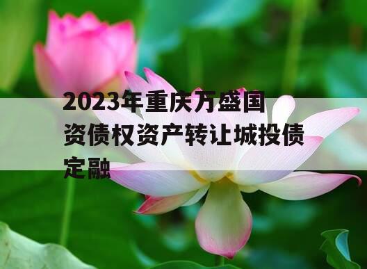 2023年重庆万盛国资债权资产转让城投债定融