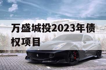 万盛城投2023年债权项目