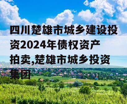 四川楚雄市城乡建设投资2024年债权资产拍卖,楚雄市城乡投资集团