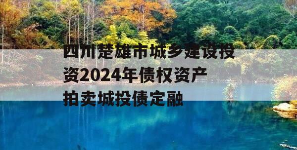 四川楚雄市城乡建设投资2024年债权资产拍卖城投债定融